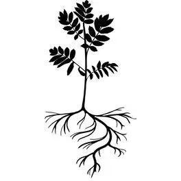 Winter Substrates 2026