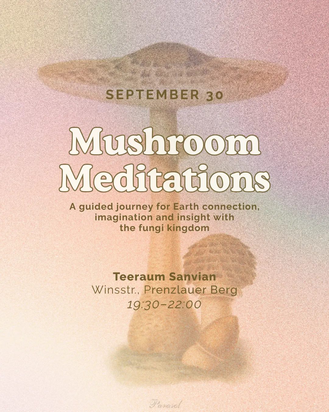 Mushroom Meditations: A guided journey for Earth connection, imagination and insight