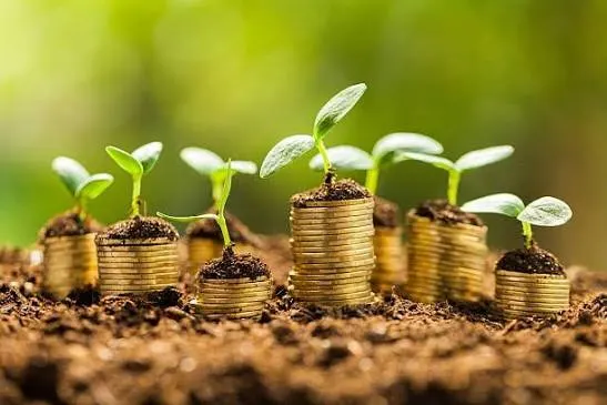Finanzas 2.0: ¿Qué viene después del financiamiento sostenible?