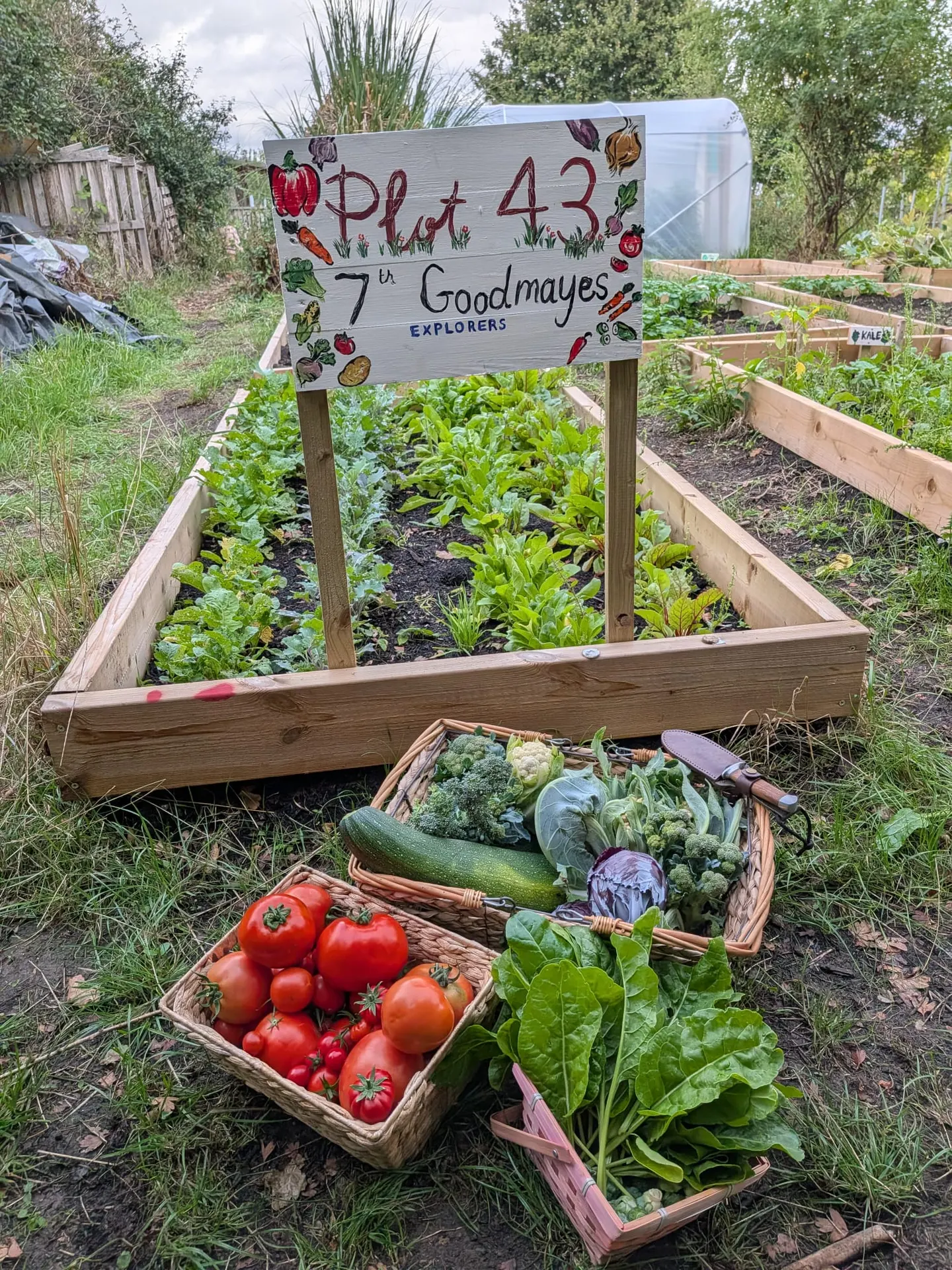 7th Goodmayes Explorer Community Allotment