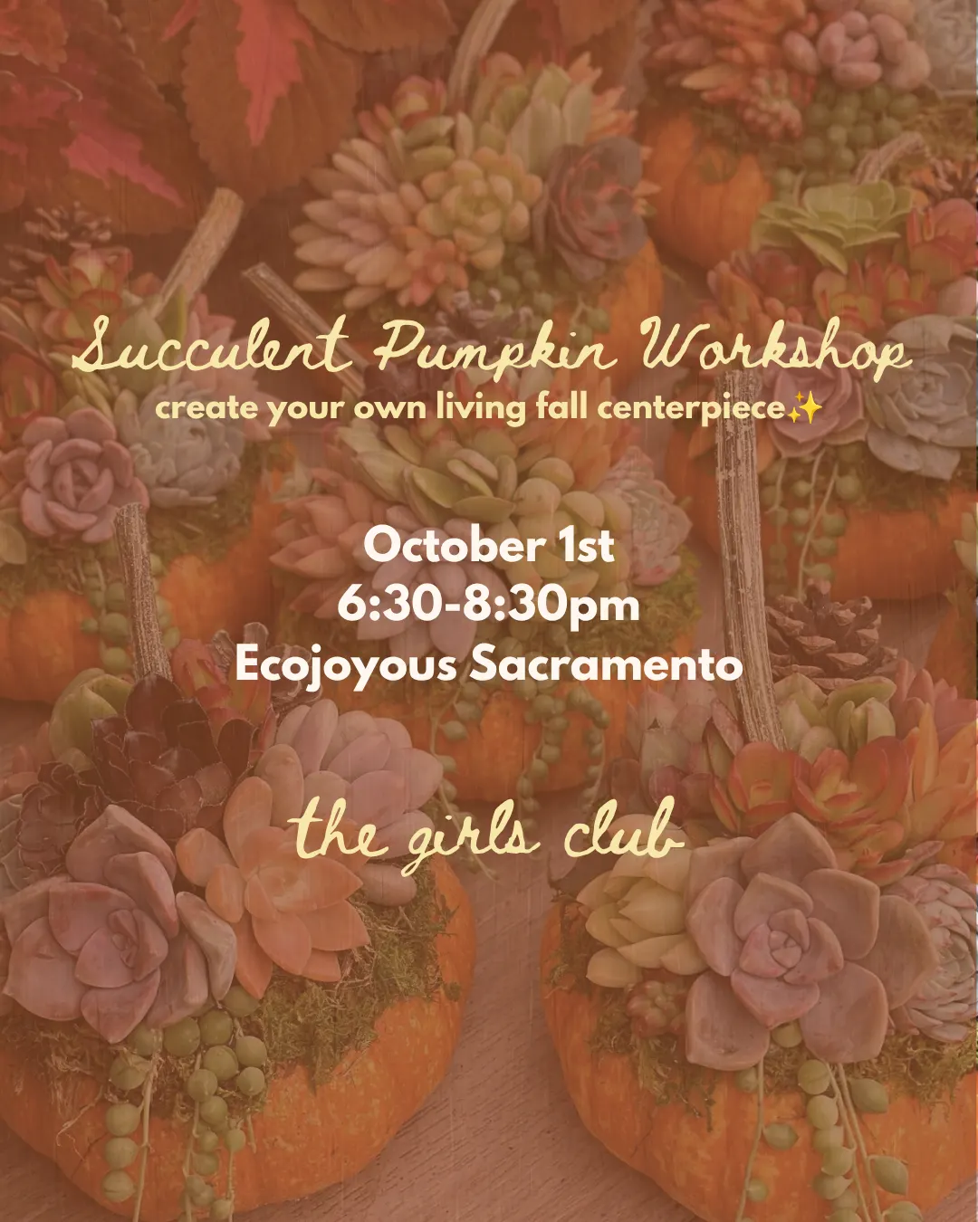 Succulent Pumpkin Workshop
