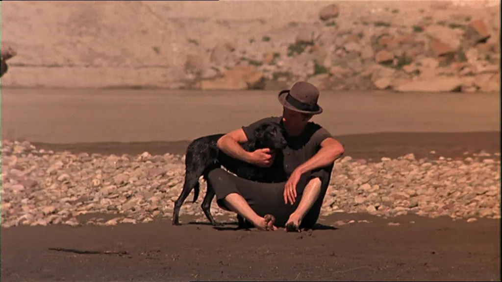 NEVER SEEN ON SCREEN: DAYS OF HEAVEN (1978)