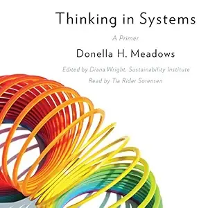 Service Design Book Club: Thinking In Systems (Chapter 5 - End)