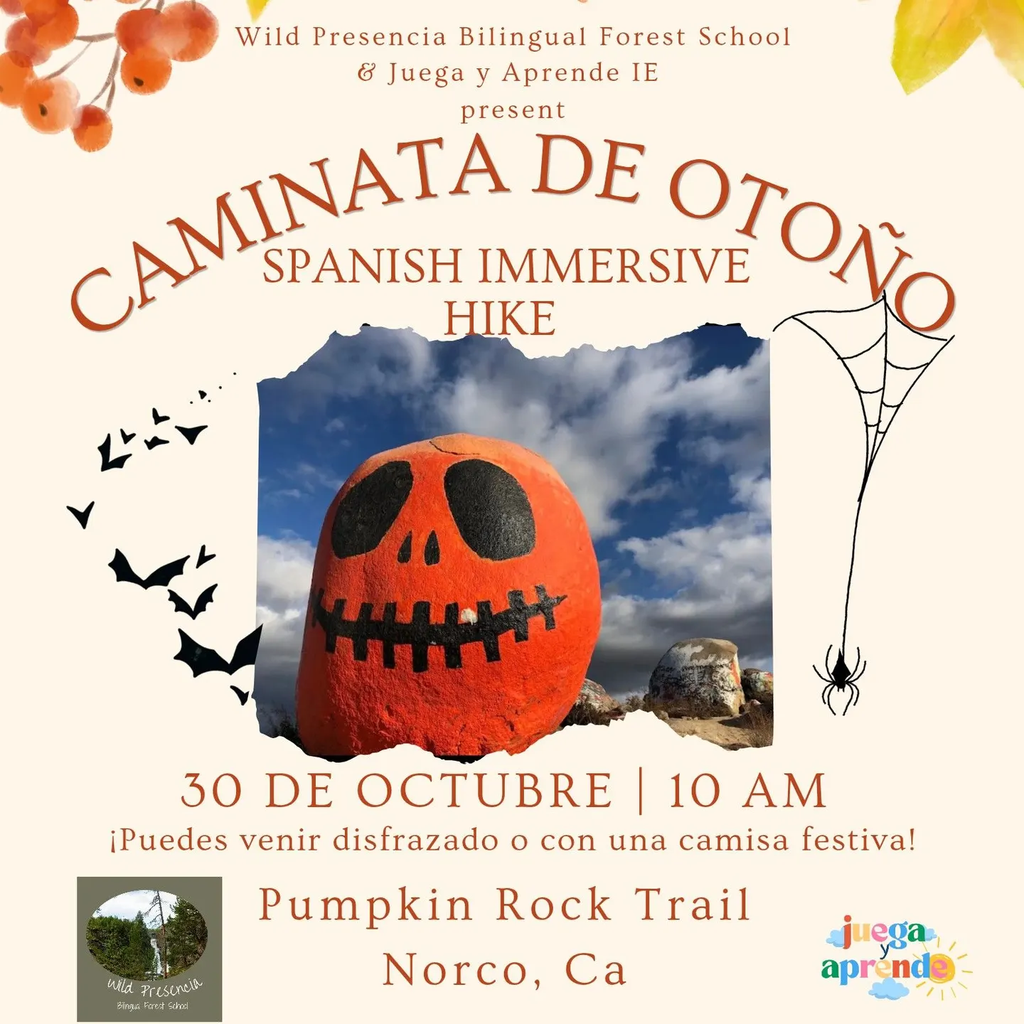 Caminata De Otoño
