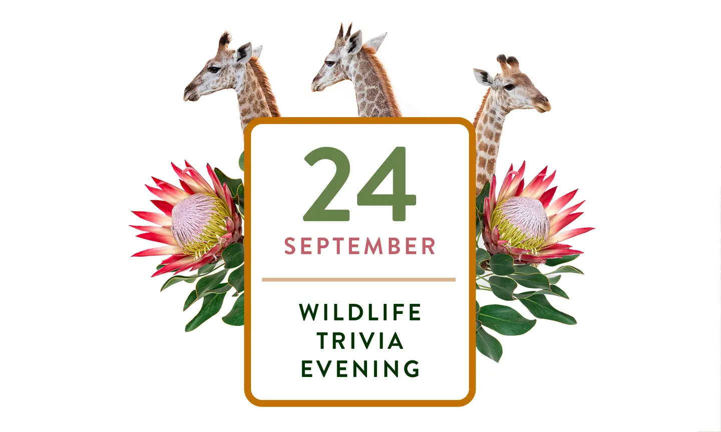 Wildlife Trivia with Wild Tomorrow