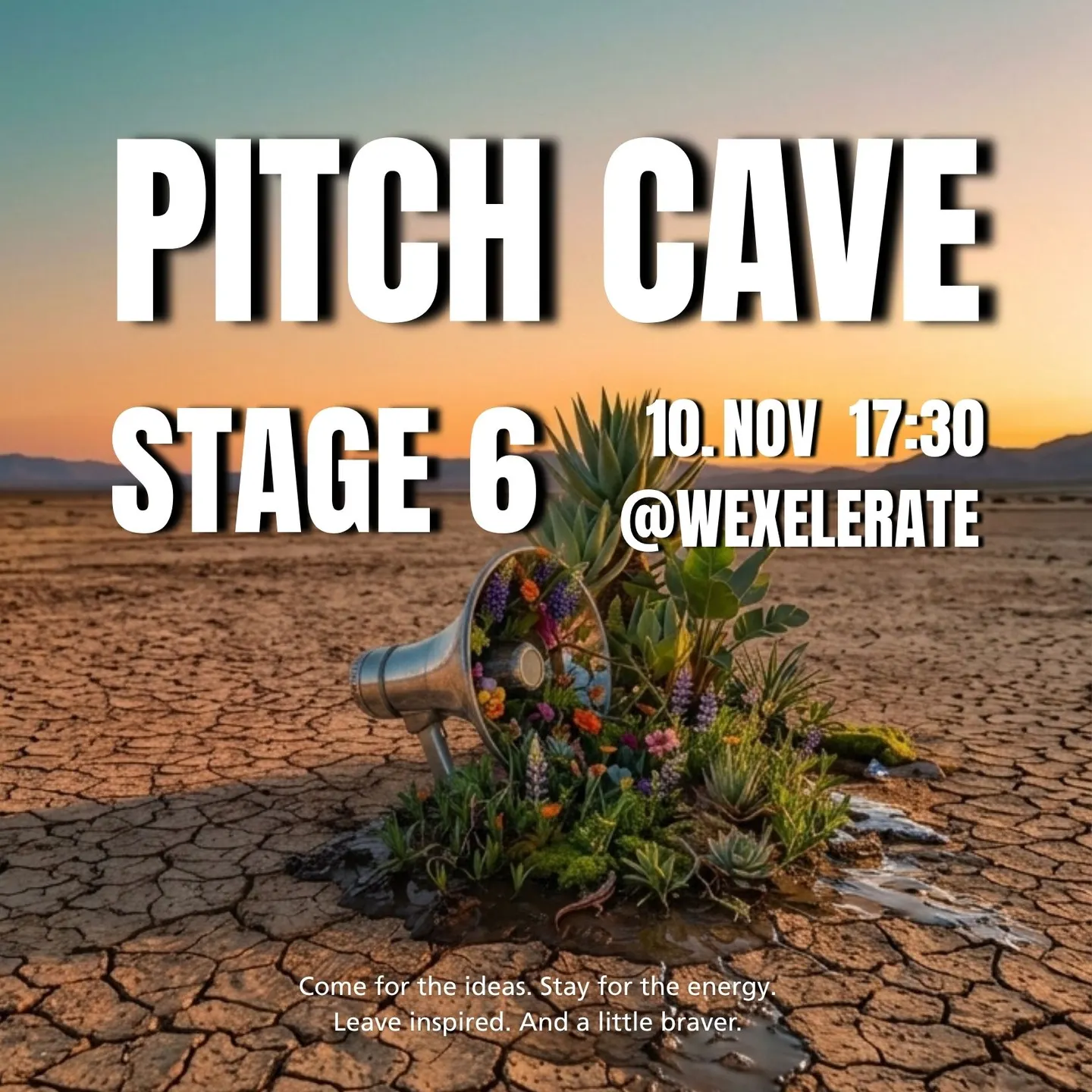 PitchCave Stage #6 climate edition