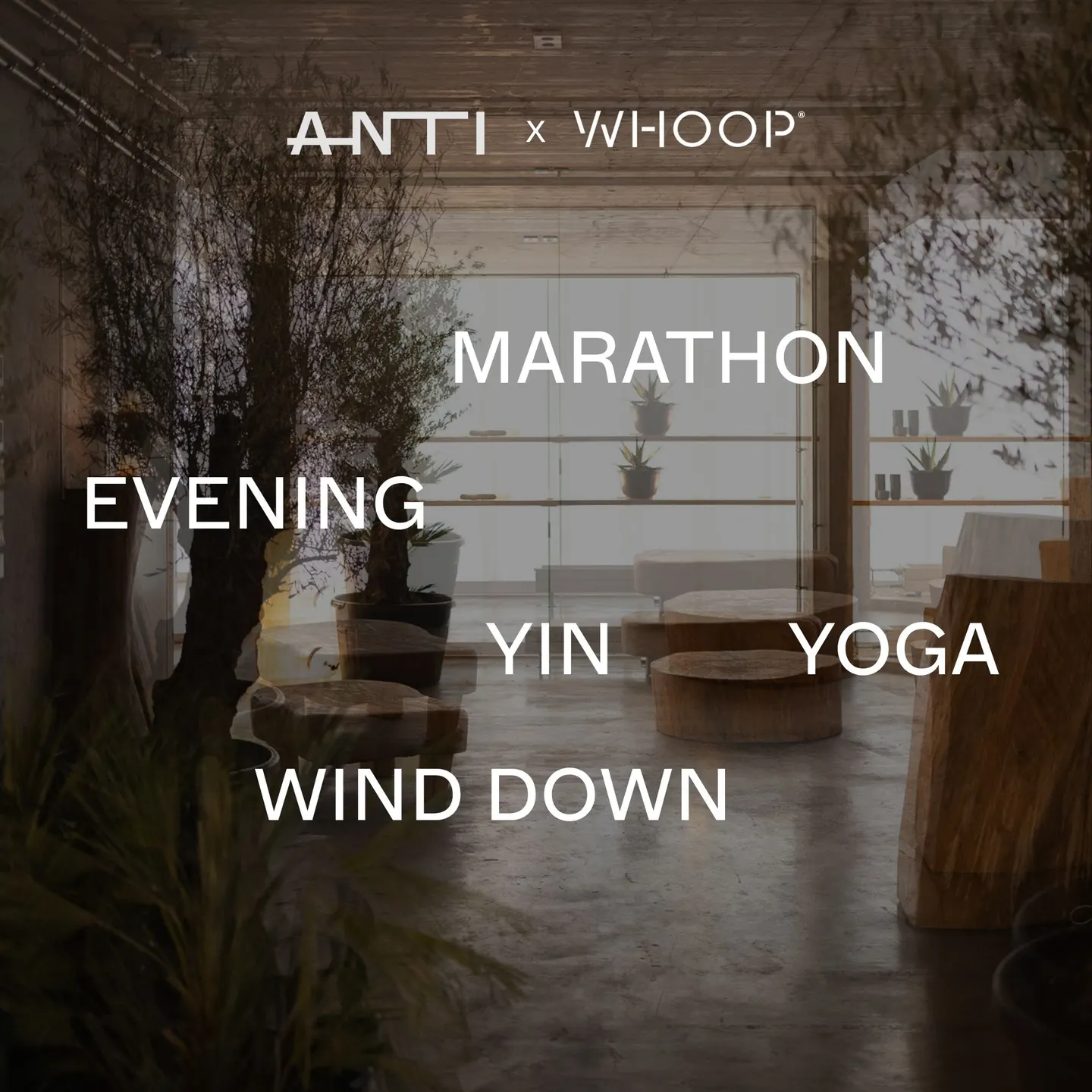 ANTI x WHOOP Evening Wind Down Legs Up & Yin