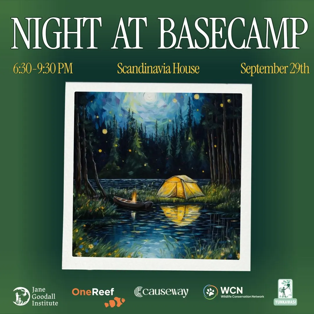 Night at Basecamp: An Evening of Conservation Storytelling