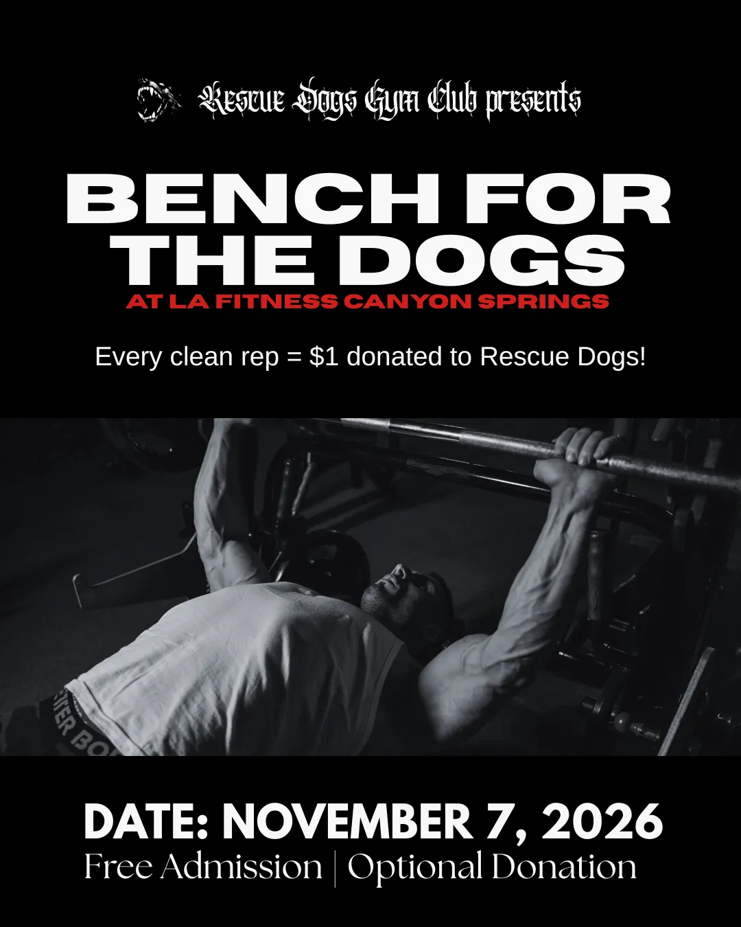 RDGC: Bench For The Dogs