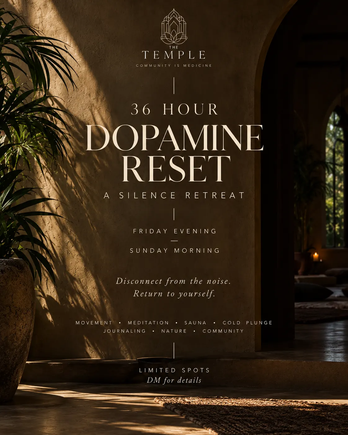 ~ Dopamine Detox ~