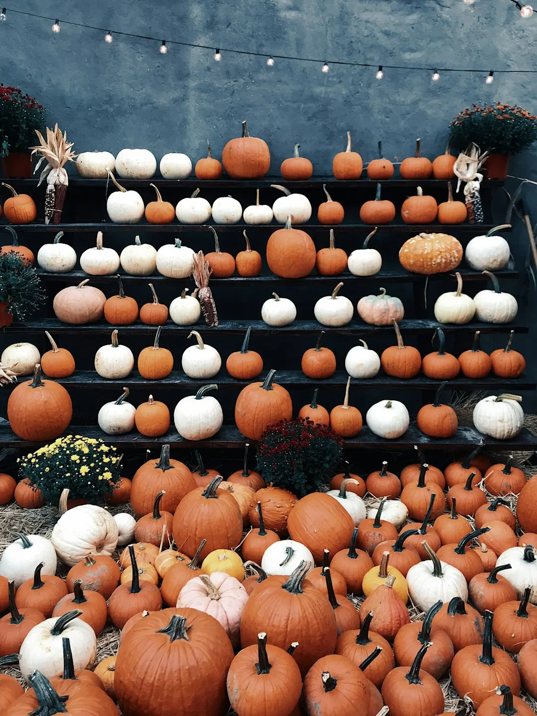 BUSHWICK VENDORS MARKET Halloween Edition