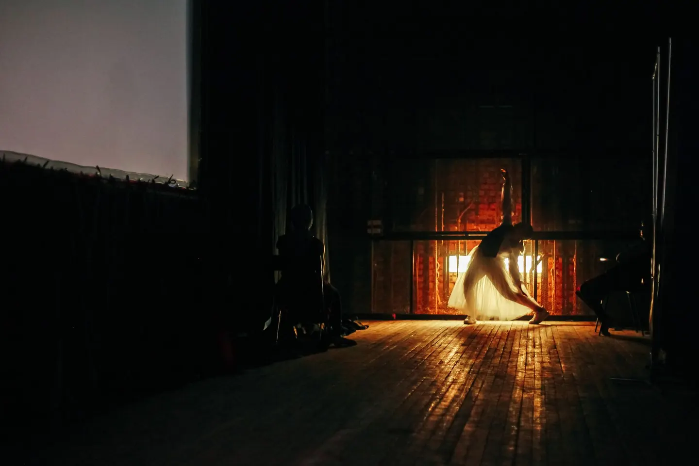 Stranger Things: The First Shadow