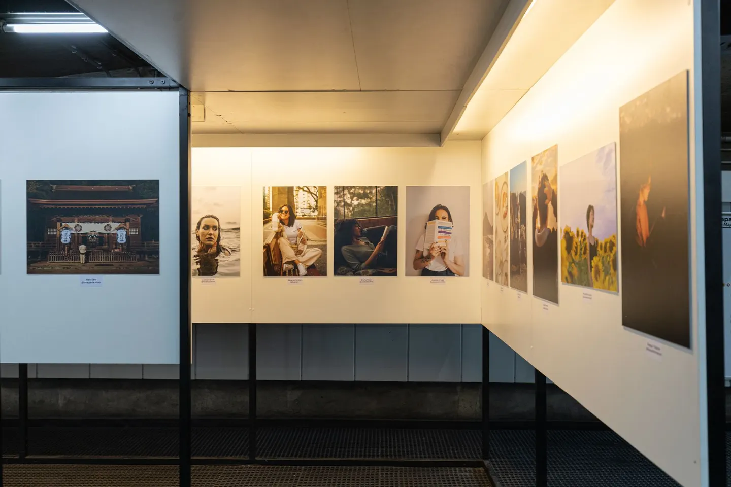 Exposició 'La gran renúncia'