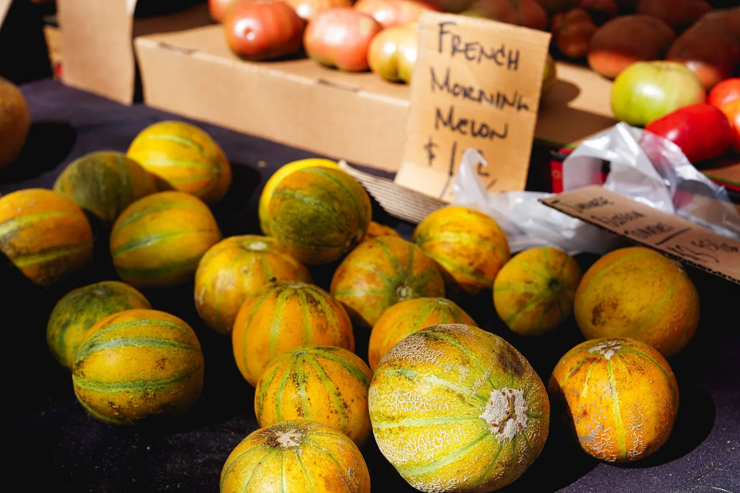 Riesen Trödelmarkt Dortmund-Dorstfeld, Universität