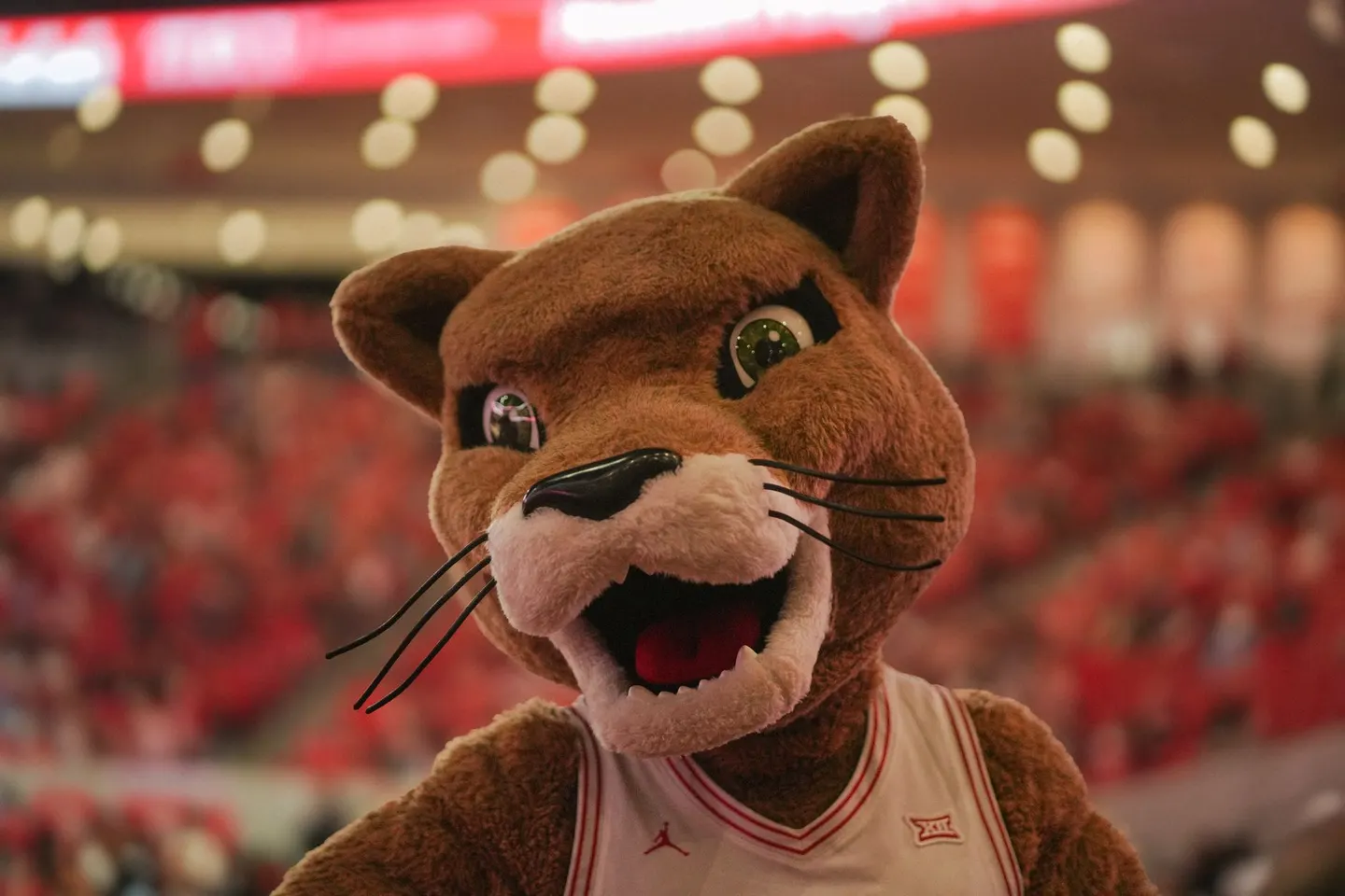 Nba Preseason Minnesota Timberwolves At Chicago Bulls