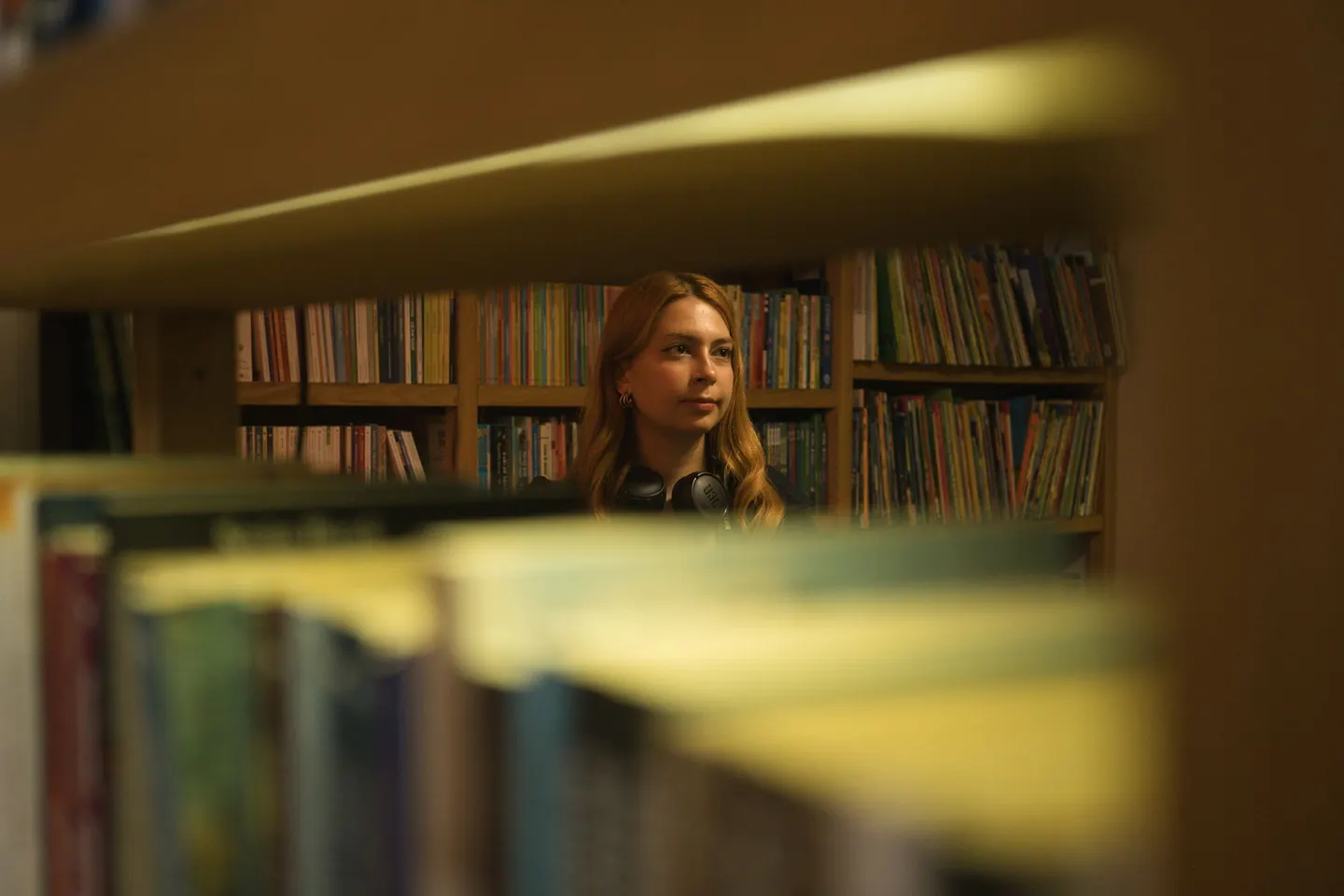 The Lion, the Witch, and the Wardrobe