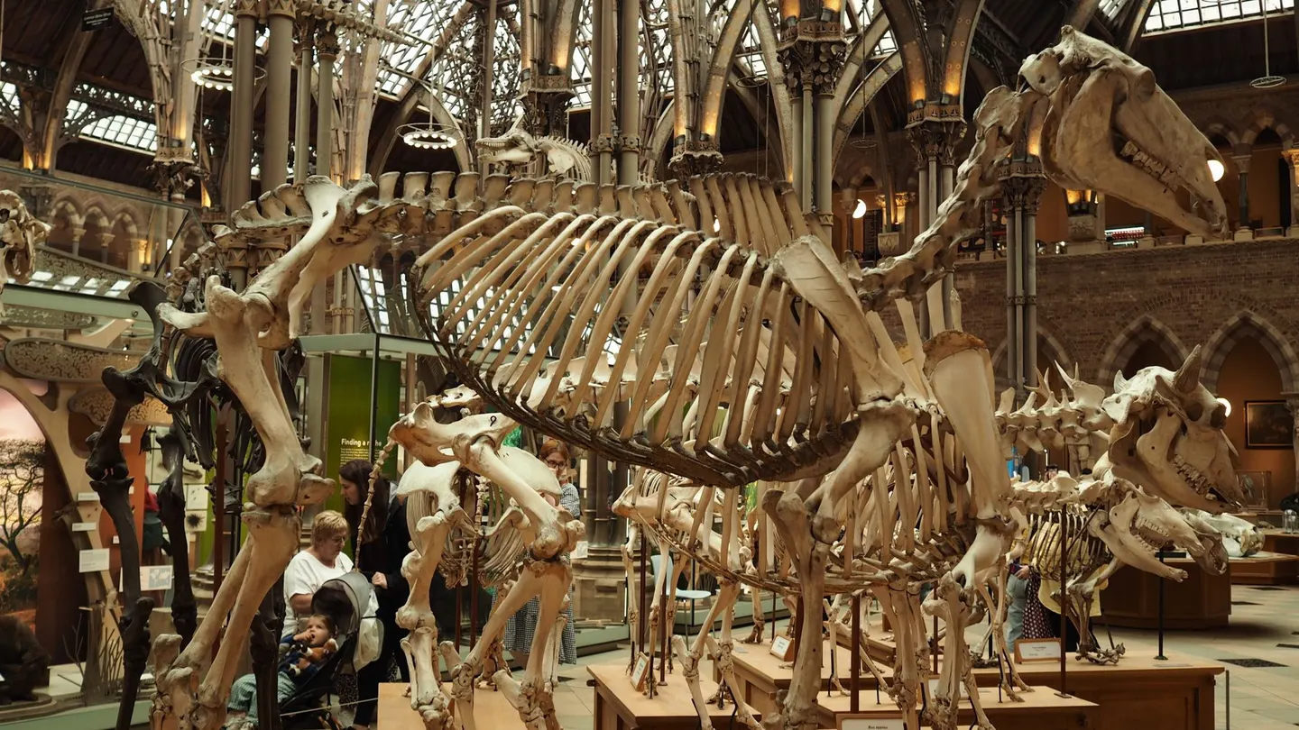 Discovering King Tuts Tomb