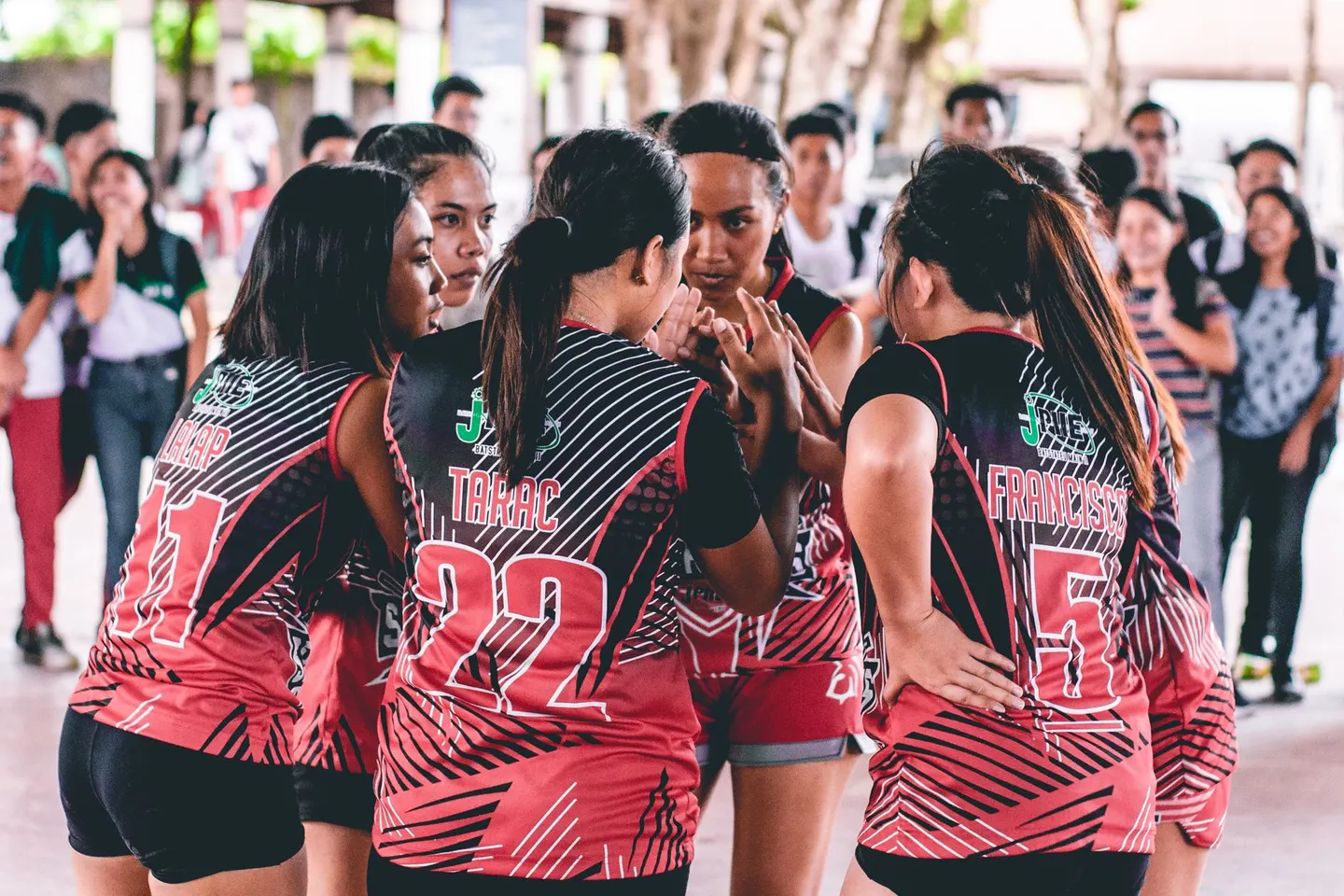 Liga de voleibol