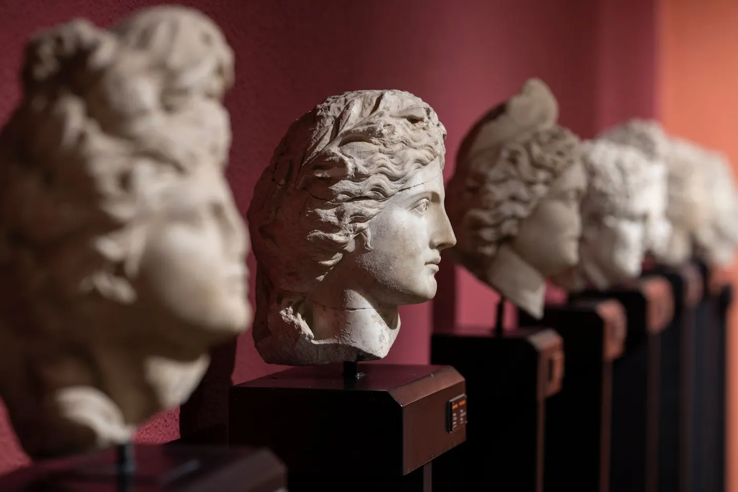 Discovering King Tuts Tomb