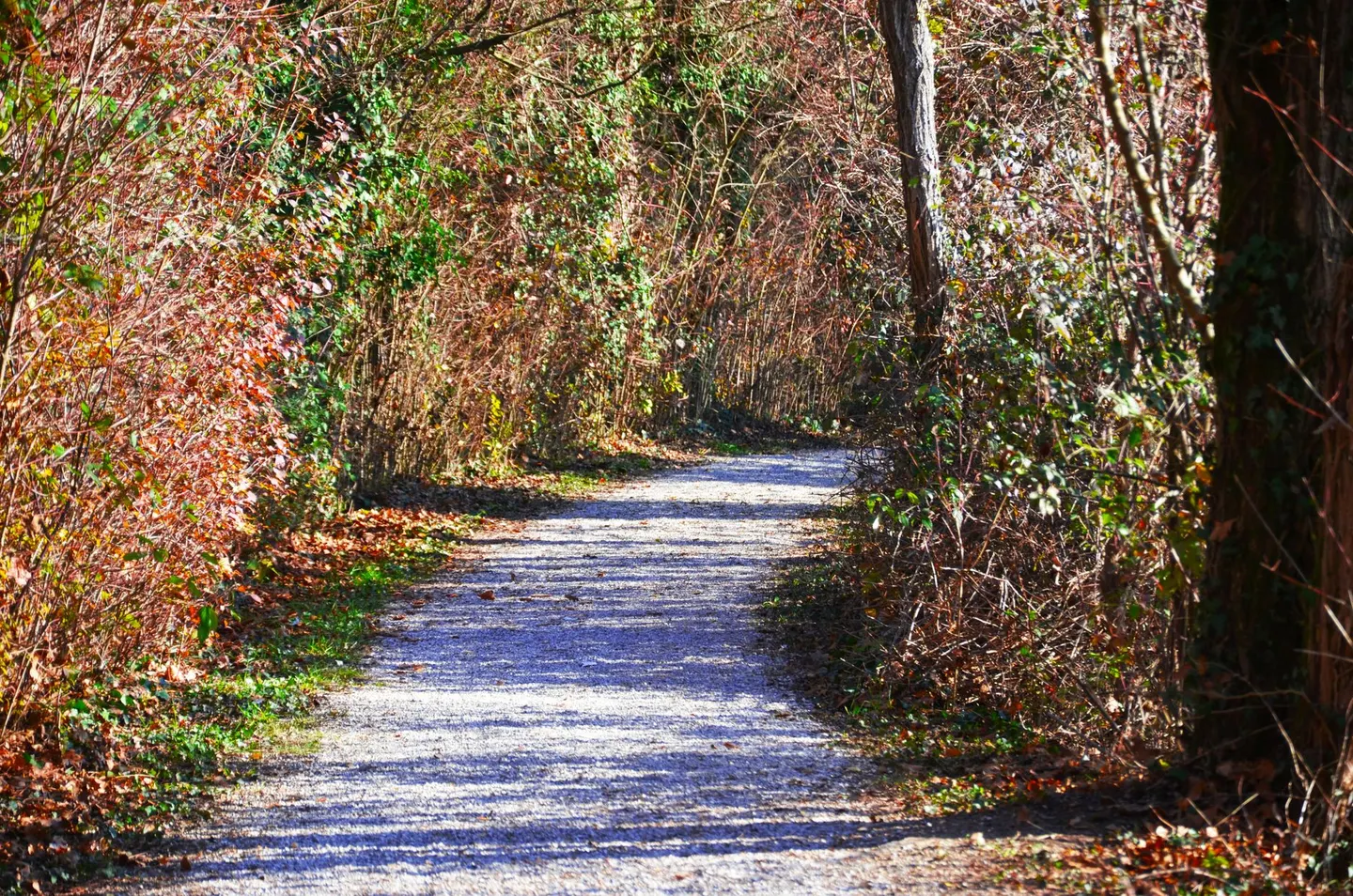 Spätherbstliche Wanderung