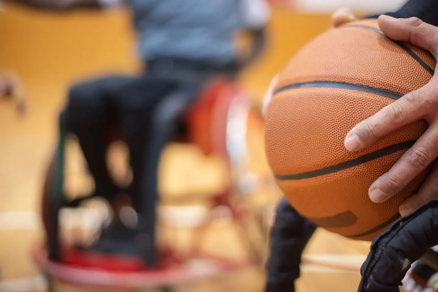 Alba Berlin Vs Rostock Seawolves