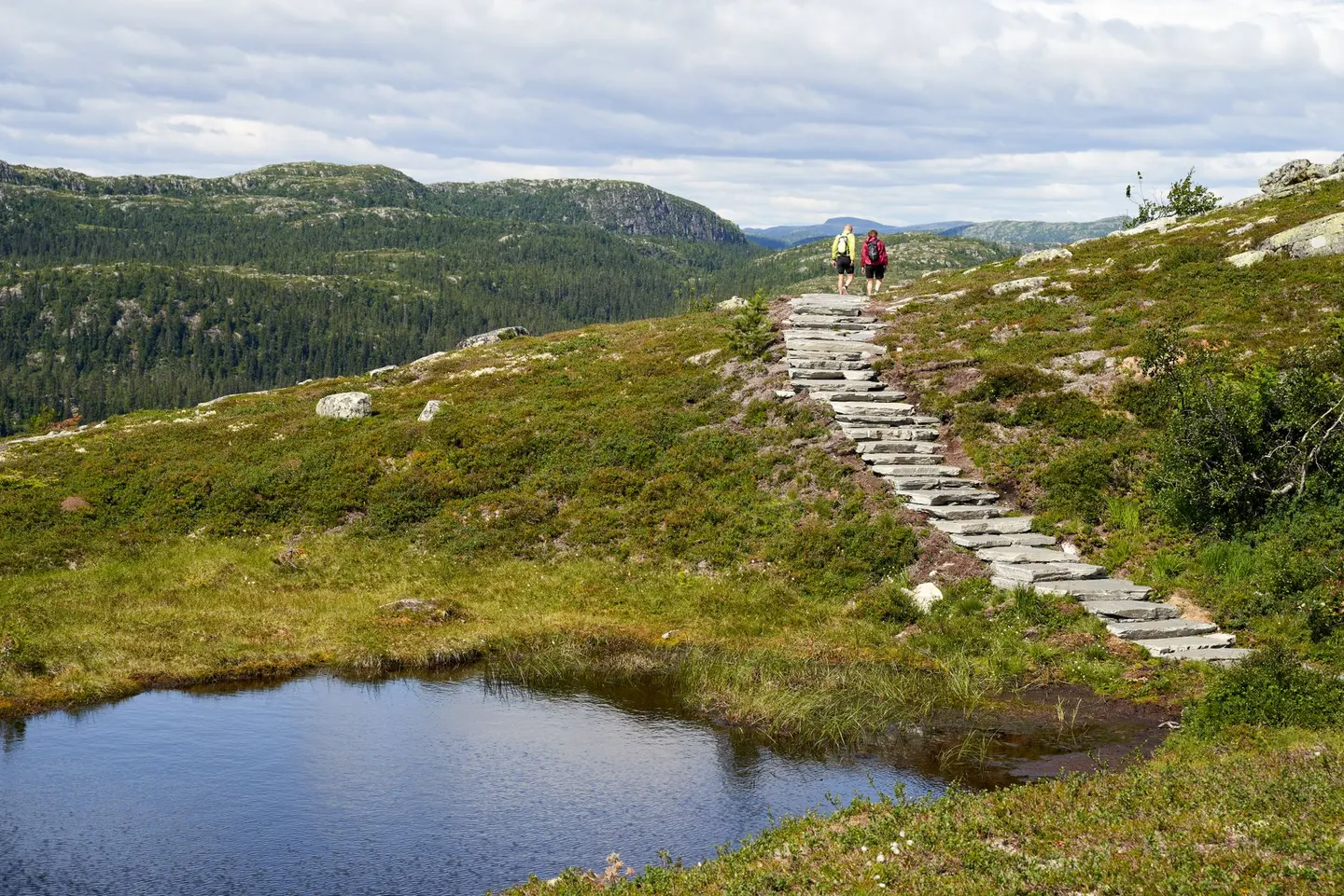 Vom Büro in die Natur: After Work Wanderung
