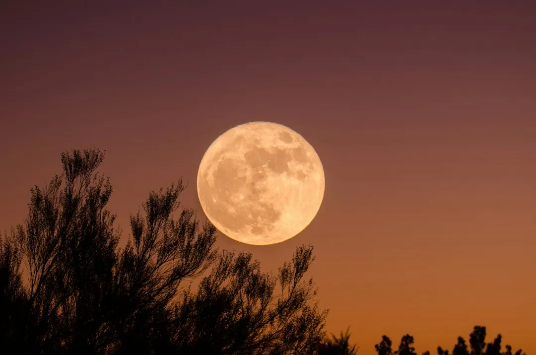 Under The Harvest Moon: Yoga, Meditation, & Sound Healing