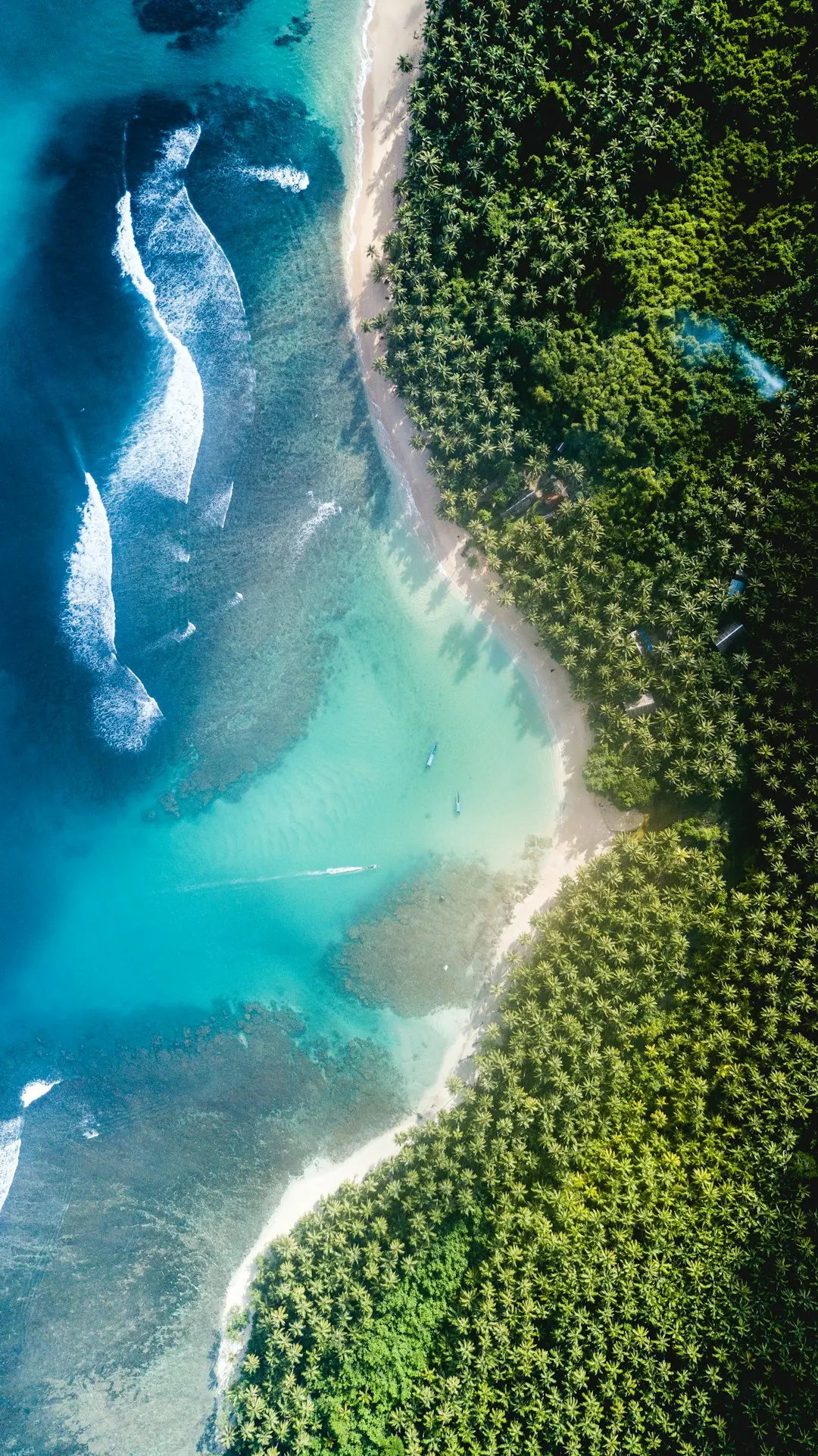 Philanthropy 2.0 is already here ~Financing ocean conservation at scale, today