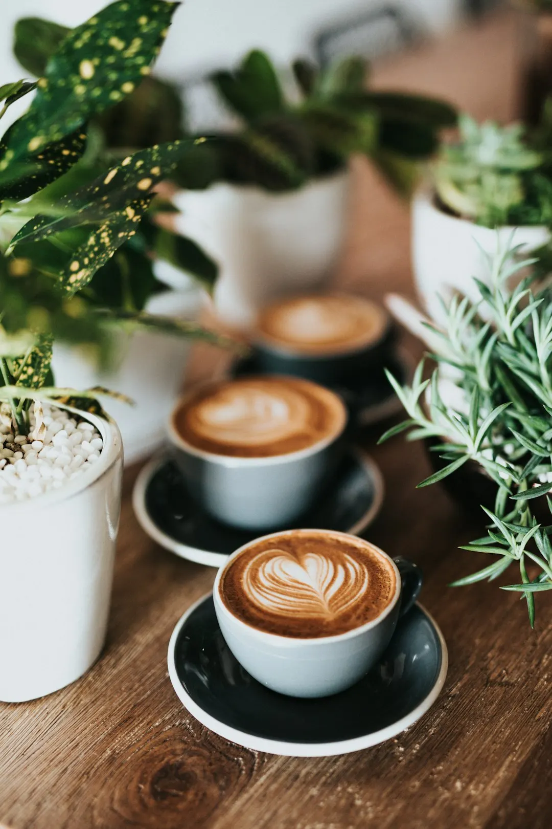 Blind Coffee Date - Ladies in their late 30s, 40s & up