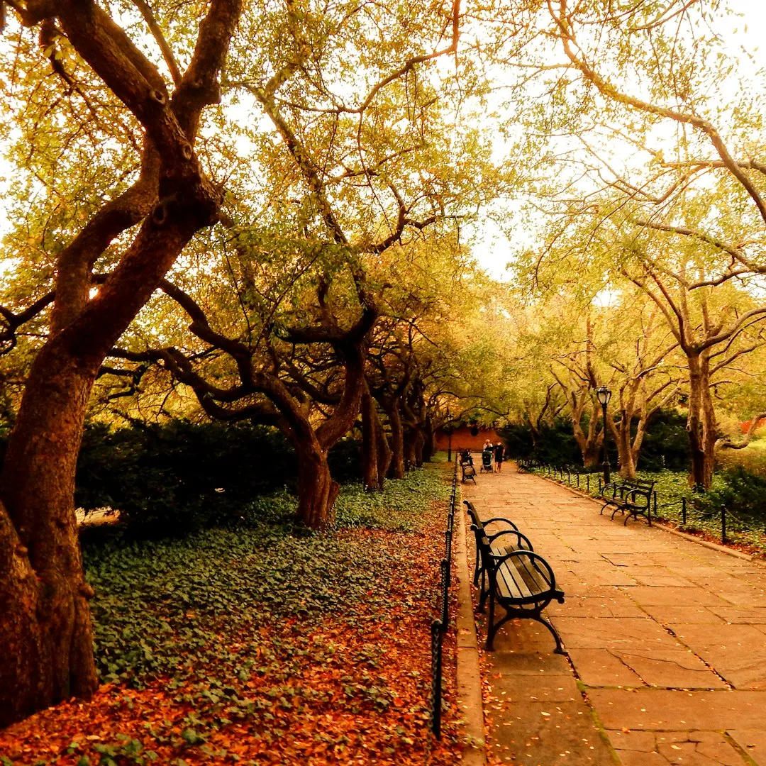 High Happy Hour Walk