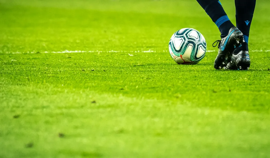Sunderland vs Brighton & Hove Albion