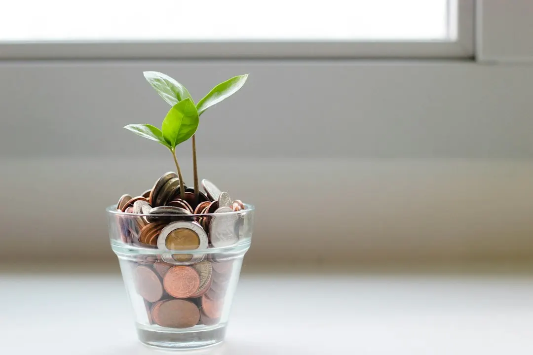 Fundraising with VCs