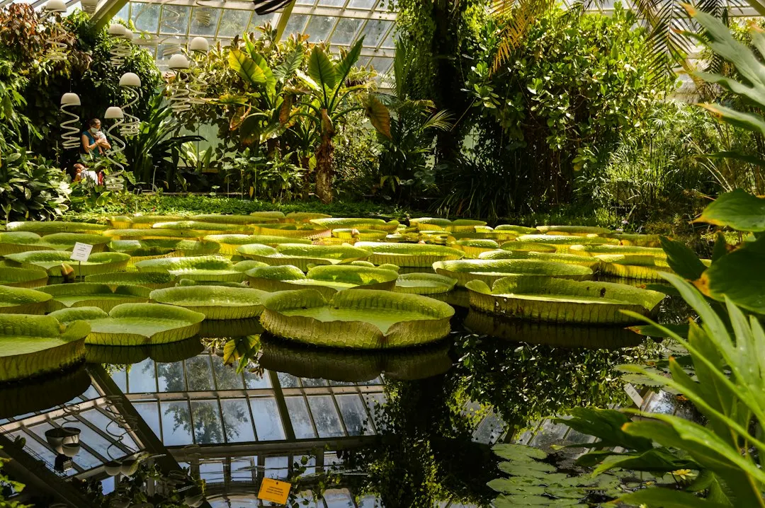 Hortus Wandeling Planten & Planeten
