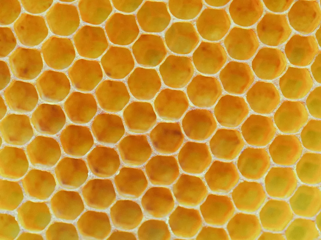 Nonprofit Hive ATX - locals networking event