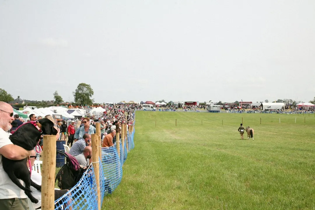 Family fun day