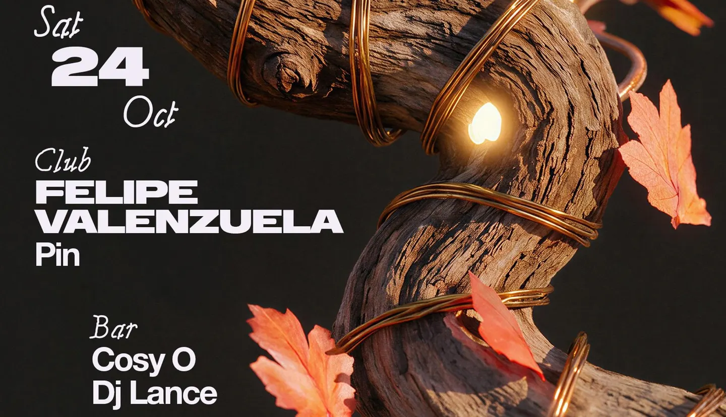 Felipe Valenzuela + Pin / Bar: Cosy O & Dj Lance