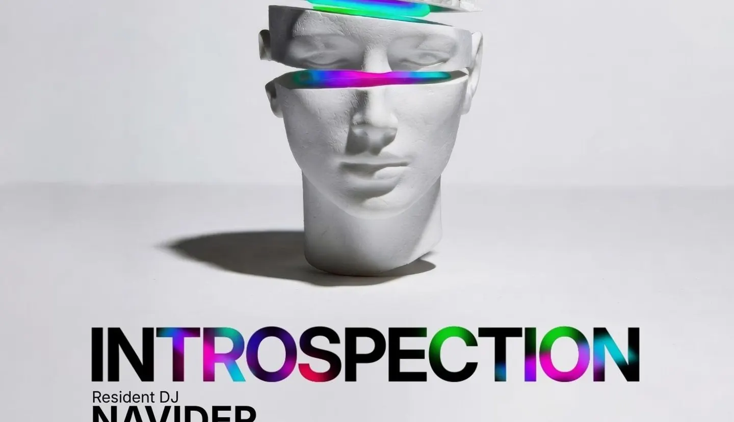 Introspection: Navider