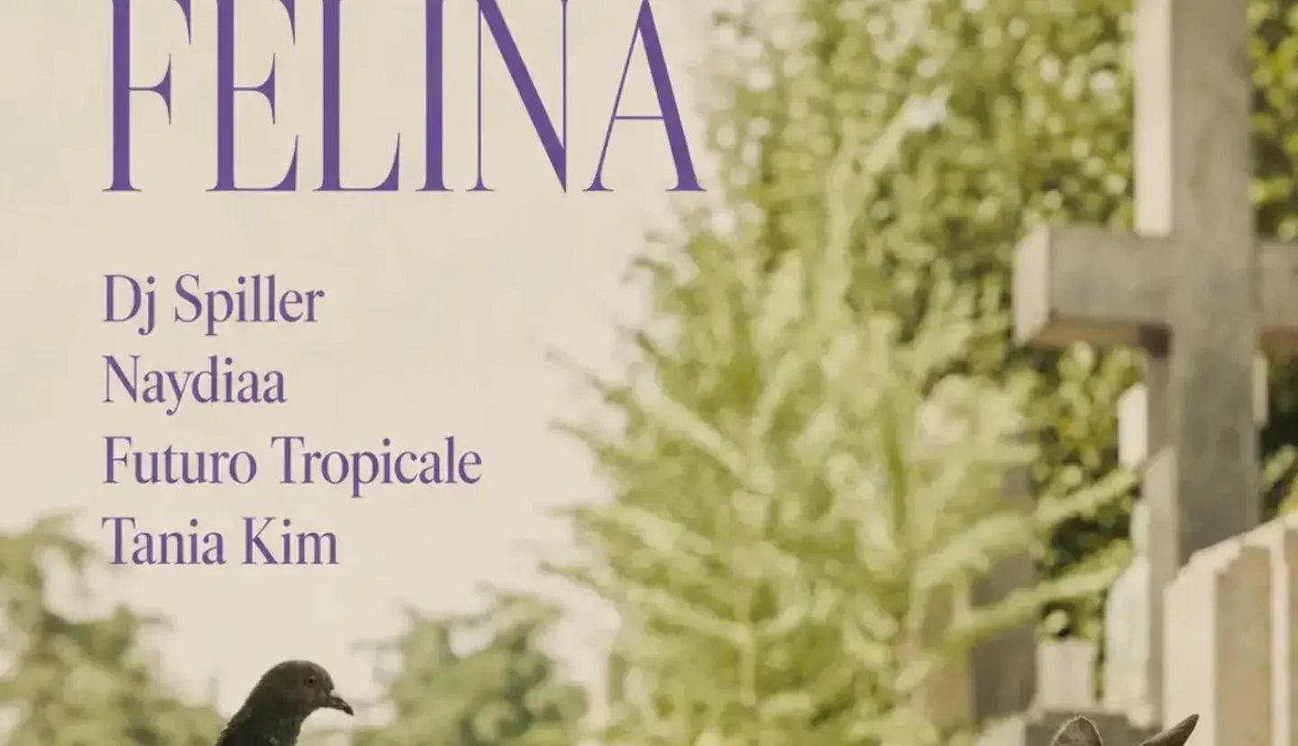 DISCO FELINA: Dj Spiller, Futuro Tropicale, Naydiaa, Tania Kim
