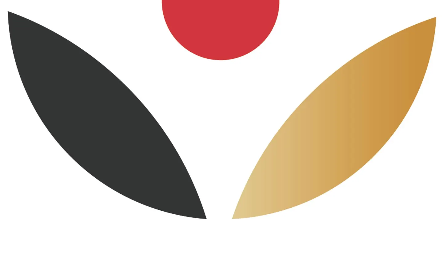 Taiko Konzert