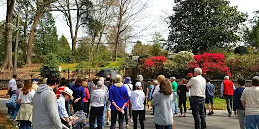 Hidden Neighborhood: A Walking Tour of Peachtree Heights East