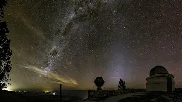 Visitas Guiadas Nocturnas a Bosque Alegre