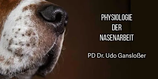 Physiologie der Nasenarbeit (PD Dr. Udo Gansloßer)