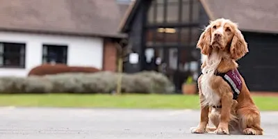Hearing Dogs Tour & Demo 1st December 2026