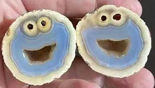 Dig into Geodes...Sept. 20