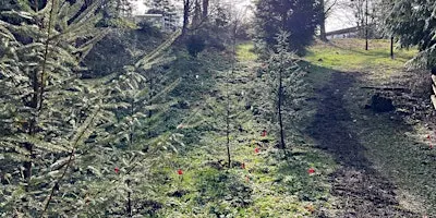 Fall Planting at Renfrew Community Park