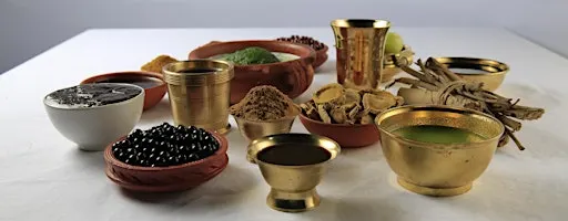 Ayurvedic Life Style Consultation