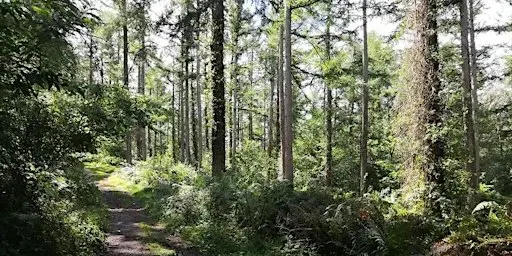 Failand 5km Scenic Nordic Walk
