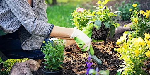 Green Patch Garden Chat with Kim