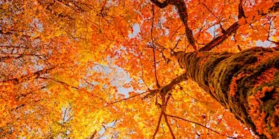Fall Artpark Hike (Adults and Ages 13+)