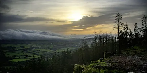 Dawn Chorus - Sunrise Walk to Seefin